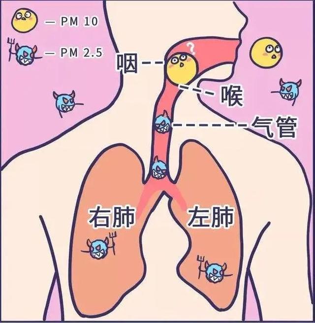 空气污染解决方法