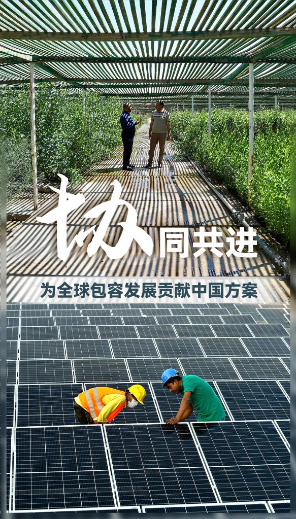 聚焦于“协”，增进全球绿色协调可持续发展的经济学——习近平经济思想的世界启示述评之四