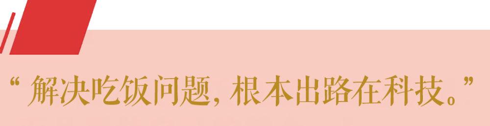 第1视点丨这个“国之大者”总书记念兹在兹