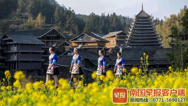 红 黄 粉 白 紫 广西的花 都开好了 新闻时间