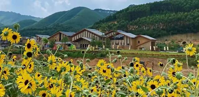 贵州省团建地点