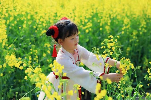 共赴春天赏花之约 湖北“赏花经济”生机勃发