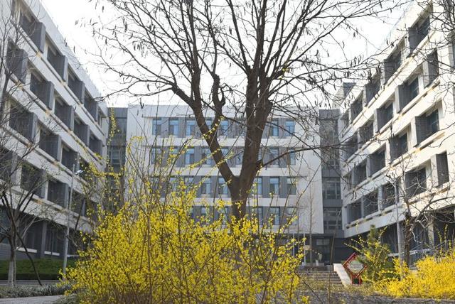众志成城 齐心战疫｜居家学习的你想念校园吗？那里花儿都开好了 带你云赏花