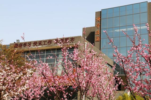 众志成城 齐心战疫｜居家学习的你想念校园吗？那里花儿都开好了 带你云赏花