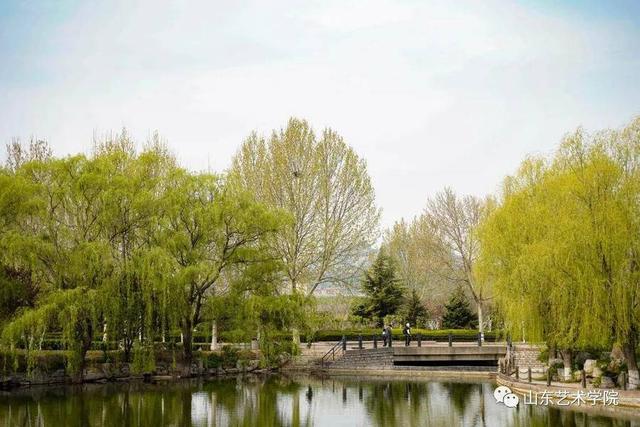 共享校园春光｜山东艺术学院：山艺春分写真集来了