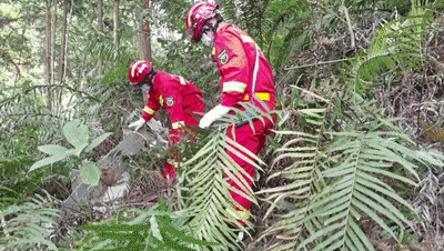 救援队伍发现东航客机残骸碎片 全球新闻风头榜 第1张
