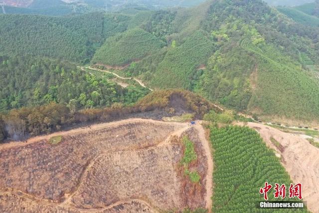 已找到黑匣子初判为舱音记录器