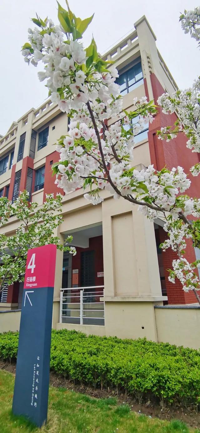 校园春日最终季来啦！春来希望至，期待和孩子们相聚在春日的校园里