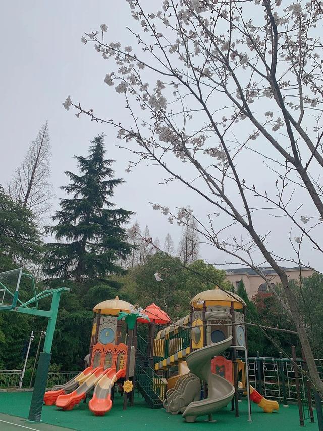 校园春日最终季来啦！春来希望至，期待和孩子们相聚在春日的校园里