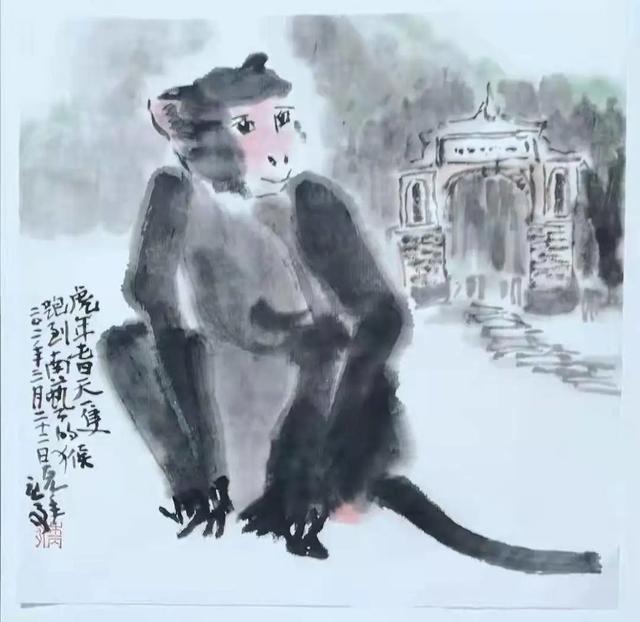 登上热搜！南京城这只猴流浪了20多天，江苏网警都发话了