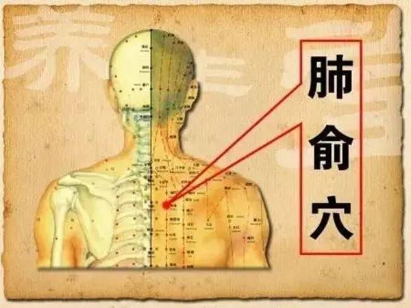 阳气不足百病生，春天巧用这穴位，对养阳大有益处