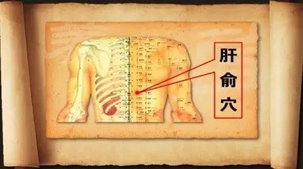 阳气不足百病生，春天巧用这穴位，对养阳大有益处