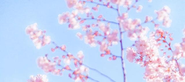 在增坂村封控区，他们说得最多的一句话是—>