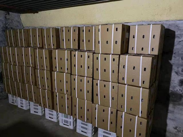 72.5亿粒！青州一企业再次刷新国内蚕种出口最大订单纪录