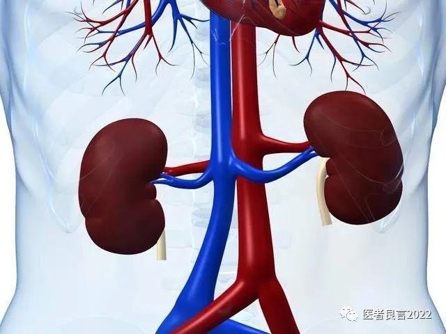 爱吃肉的人和爱吃素的人，哪个更长寿呢？医生告诉您答案