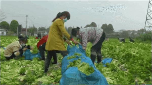 多地驰援上海！医护、蔬菜、水果……网友泪目：上海人民不会忘记这份感情