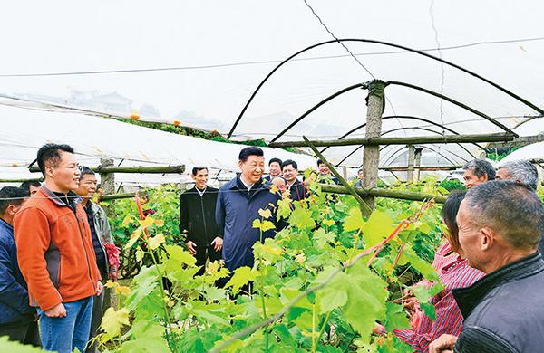 《求是》杂志发表***总书记重要文章《坚持把解决好“三农”问题作为全*工作重中之重，举全*全社会之力推动乡村振兴》4