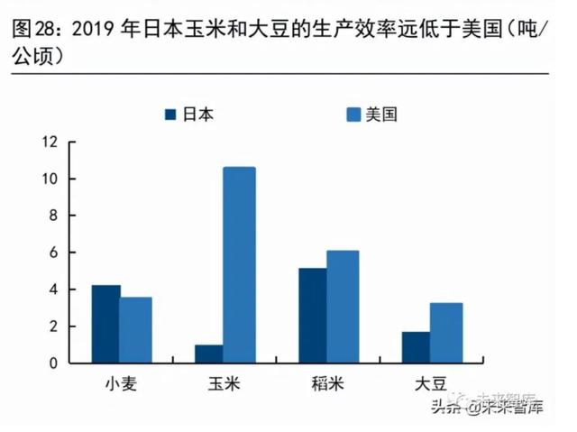 粮食供应与安全问题将何去何从？且看这份报告