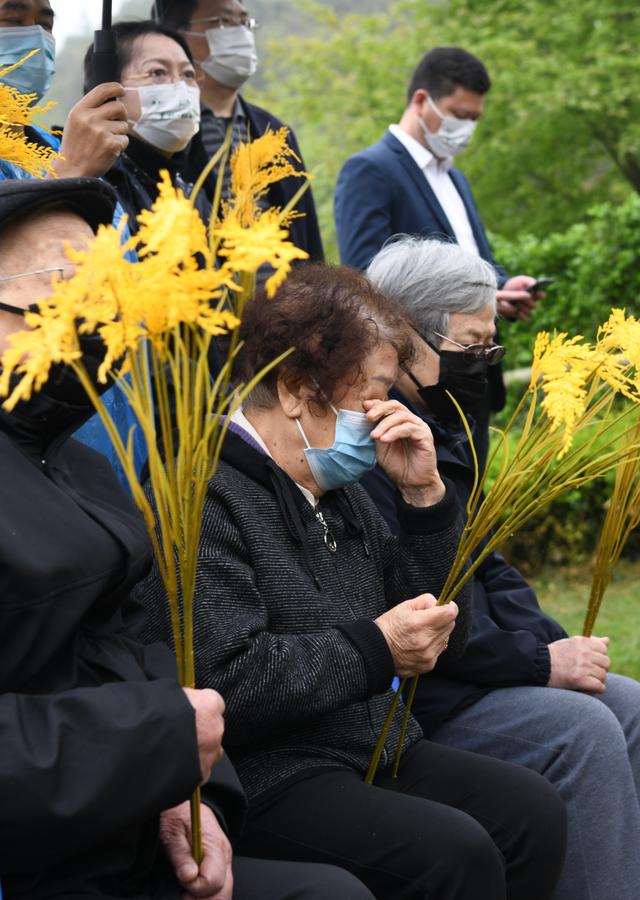 “稻”念，袁隆平离开后的首个清明时节