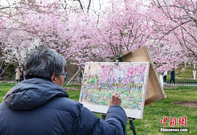 北京玉渊潭公园春和景明繁花似锦