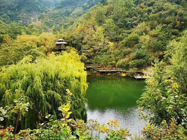 清明｜清明节，祝您快乐