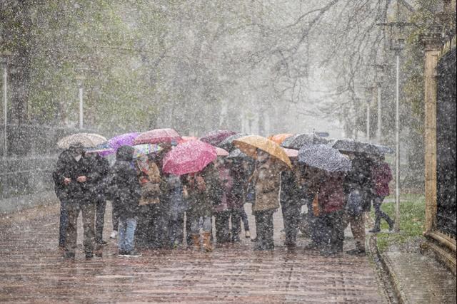 欧洲多国迎降雪 天然气价格猛涨