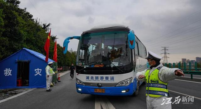 2022-04-04 上海小伙薅光奶奶菜地送抗疫酒店