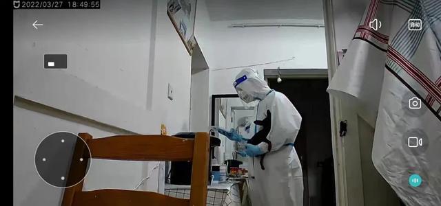 #上海宠物救助# #上海宠物救助#