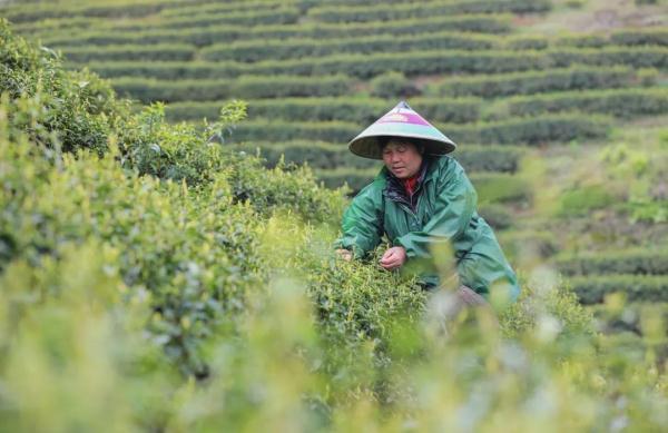 中国16个传统节日