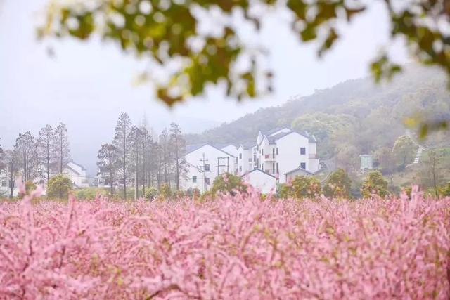 氛围感拉满！浙江这些宝藏乡村，春天一秒入画，出圈又出片