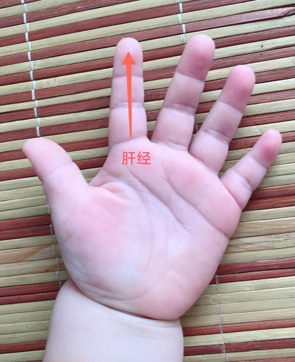 小儿推拿养生系列24节气之清明养生