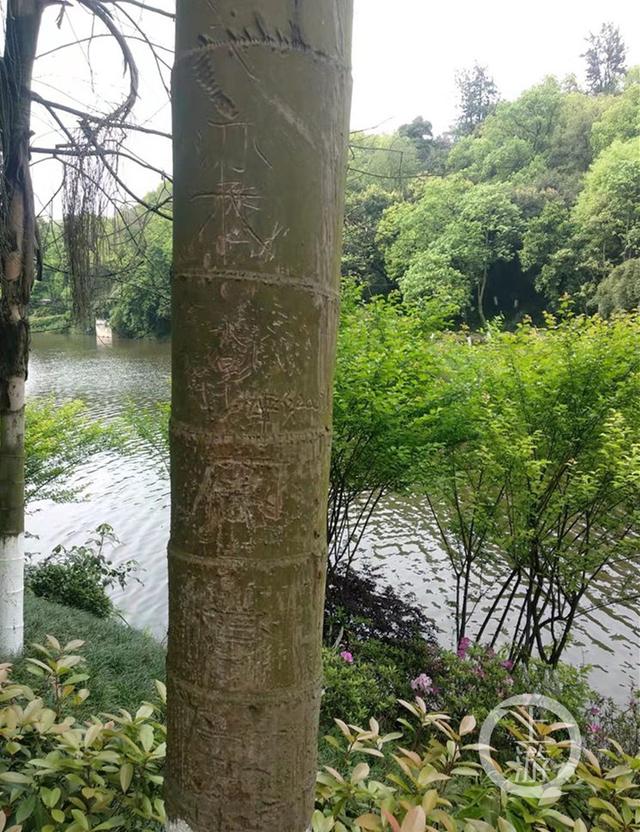 上游第五集剧情（上游第五集剧情简介）