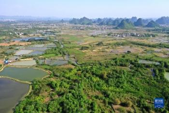 岩溶湿地别样春「组图」