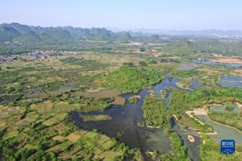 岩溶湿地别样春「组图」