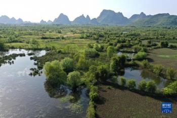 岩溶湿地别样春「组图」