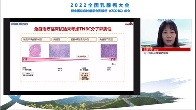 7大更新要點！專家解讀2022 CSCO乳腺癌指南病理診斷部分