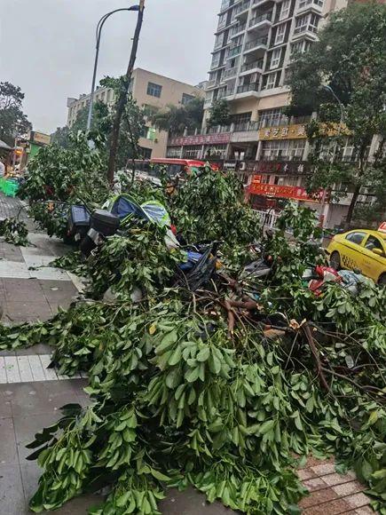 重庆小伙被大风吹起离地近三米