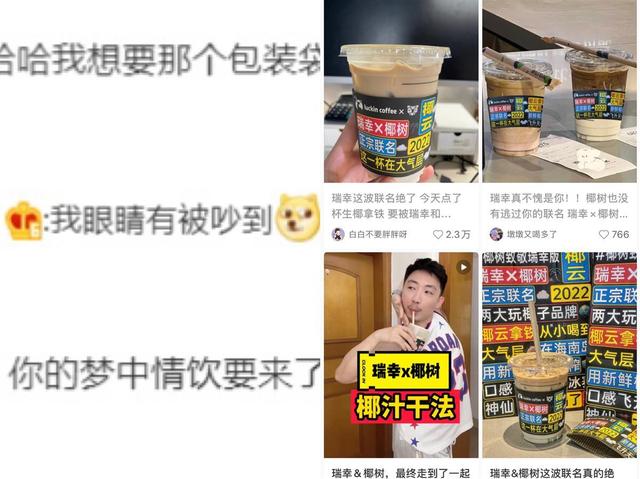 南京网络教育兽性总裁的爱奴,yy玄幻小说排行榜完本,小说