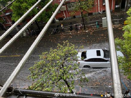 上海将迎8级大风和暴雨