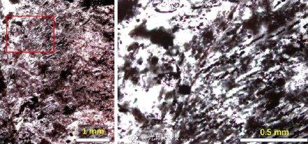 地大科研团队研究发现：地球生命起源时间至少提前3亿年