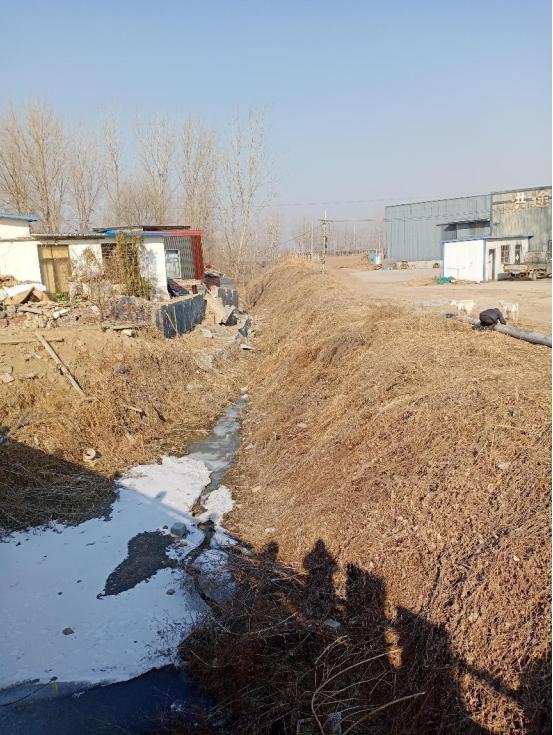 十全十美大才子是什么生肖 十全十美大才子是什么生肖（十全十美是什么生肖动物） 生活