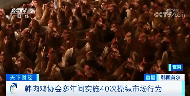 涉嫌操纵市场40次！韩国肉鸡协会被开出12亿韩元“最高”罚单
