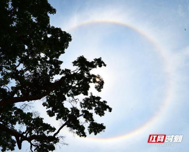 嘉禾：天空现日晕 太阳戴“美瞳”