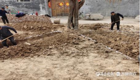 聊城市自然资源和规划局开发区分局将濒危古树复壮建成口袋公园