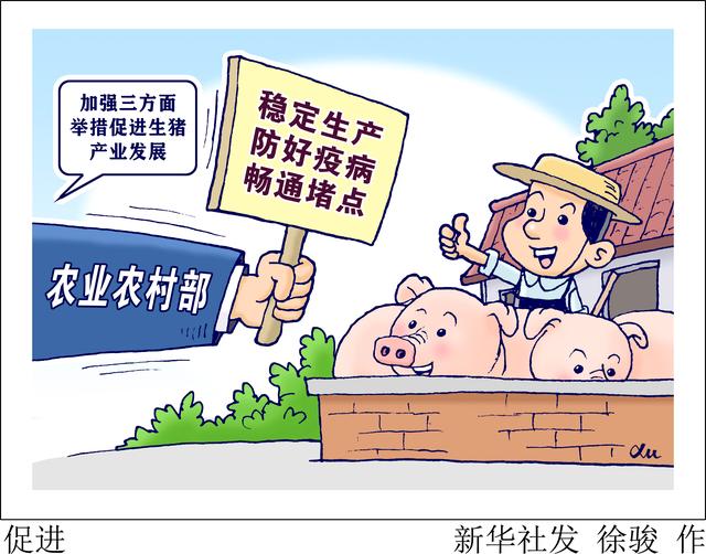 （图表·漫画）［新华全媒+］促进