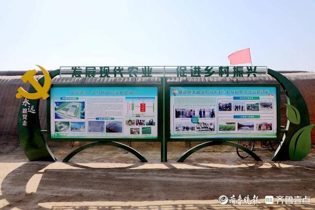 邹平焦桥镇：党支部领办合作社 万象“耕”新