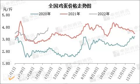 二季度蛋价有回落风险！蛋鸡存栏量触底微增，库存水平不一