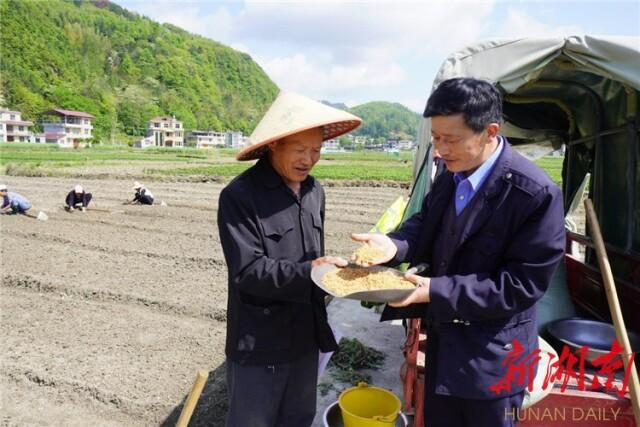 龙山县石牌镇：抢抓农时备春耕 水旱轮作促增收