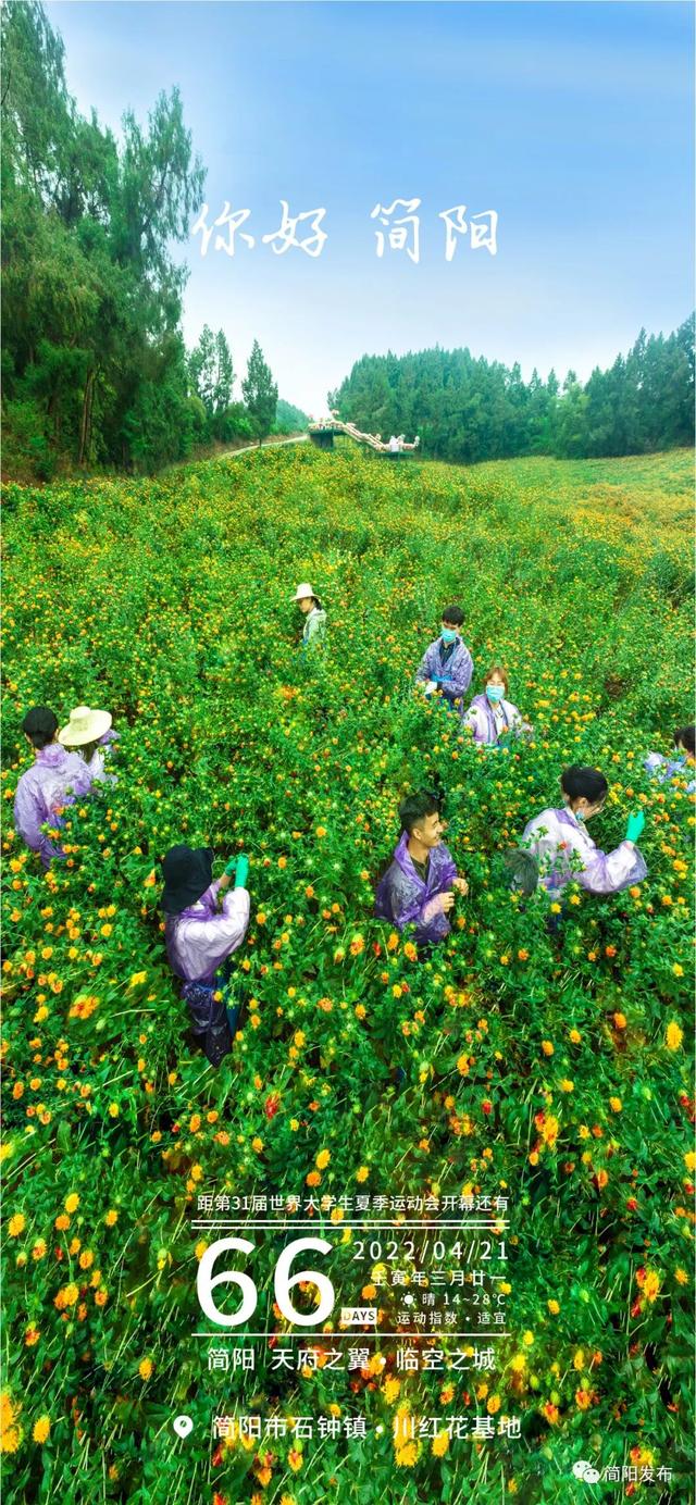 助力乡村振兴！驻村工作队把技术送到群众身边
