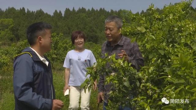 助力乡村振兴！驻村工作队把技术送到群众身边